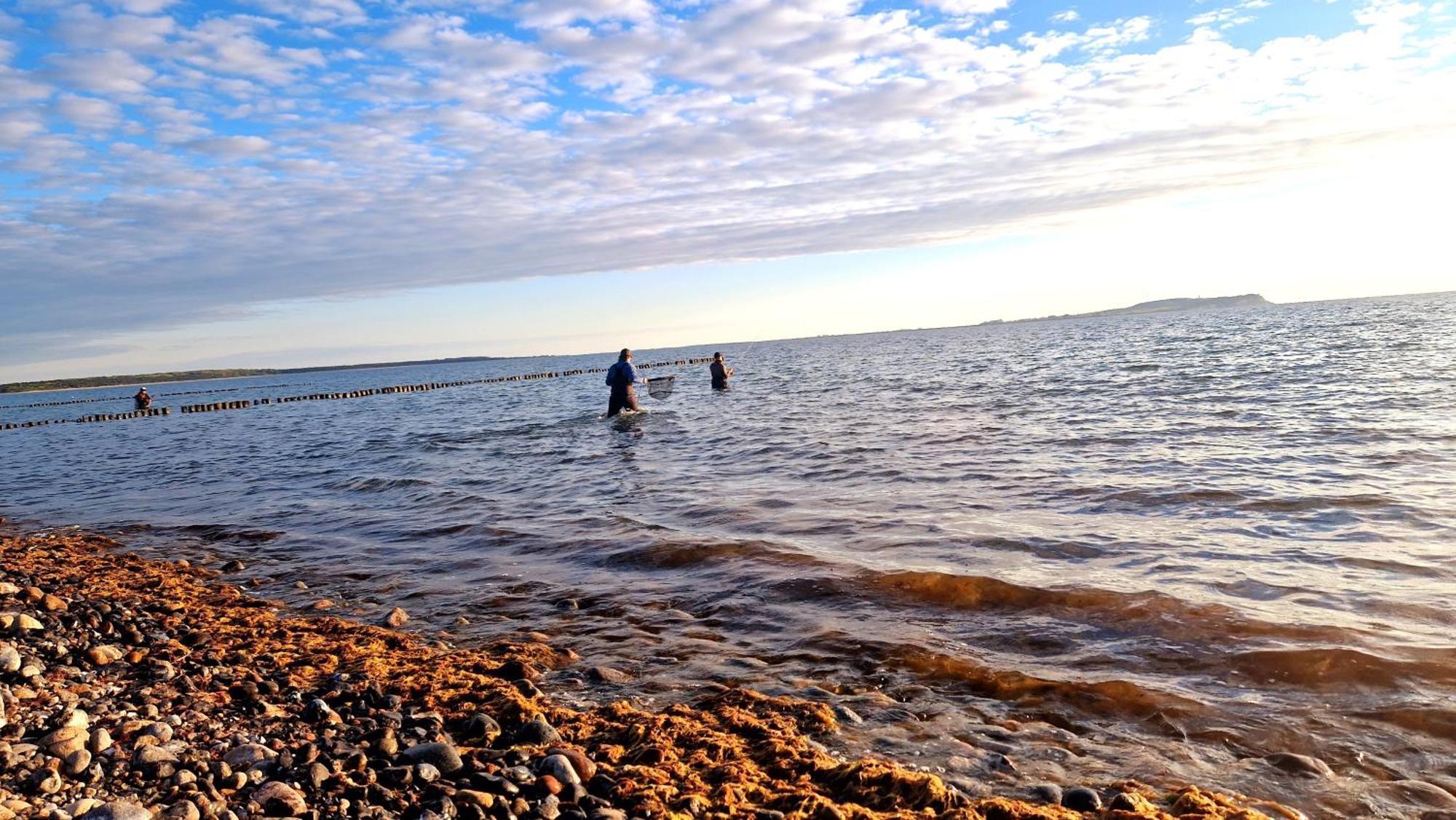 דראנסקה App 8O Grosser Tag Am Meer Mit Wasserblick מראה חיצוני תמונה